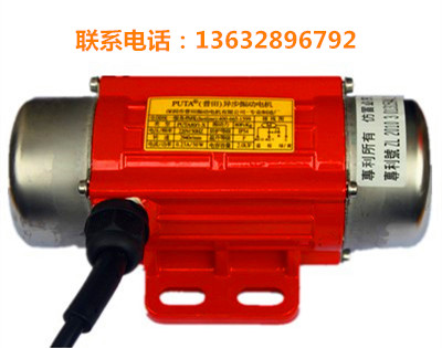 單相220V110振動電機(jī)